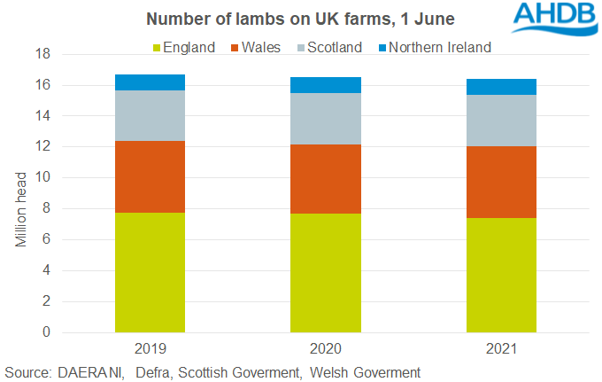 Chart showing the number of lambs in the UK as at June for the past three years